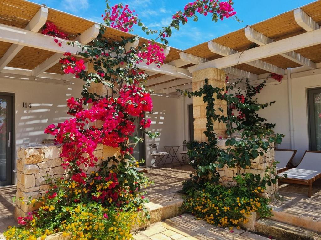 Masseria Baroni Di Montesardo Hotel ลิโด มารีนี ภายนอก รูปภาพ